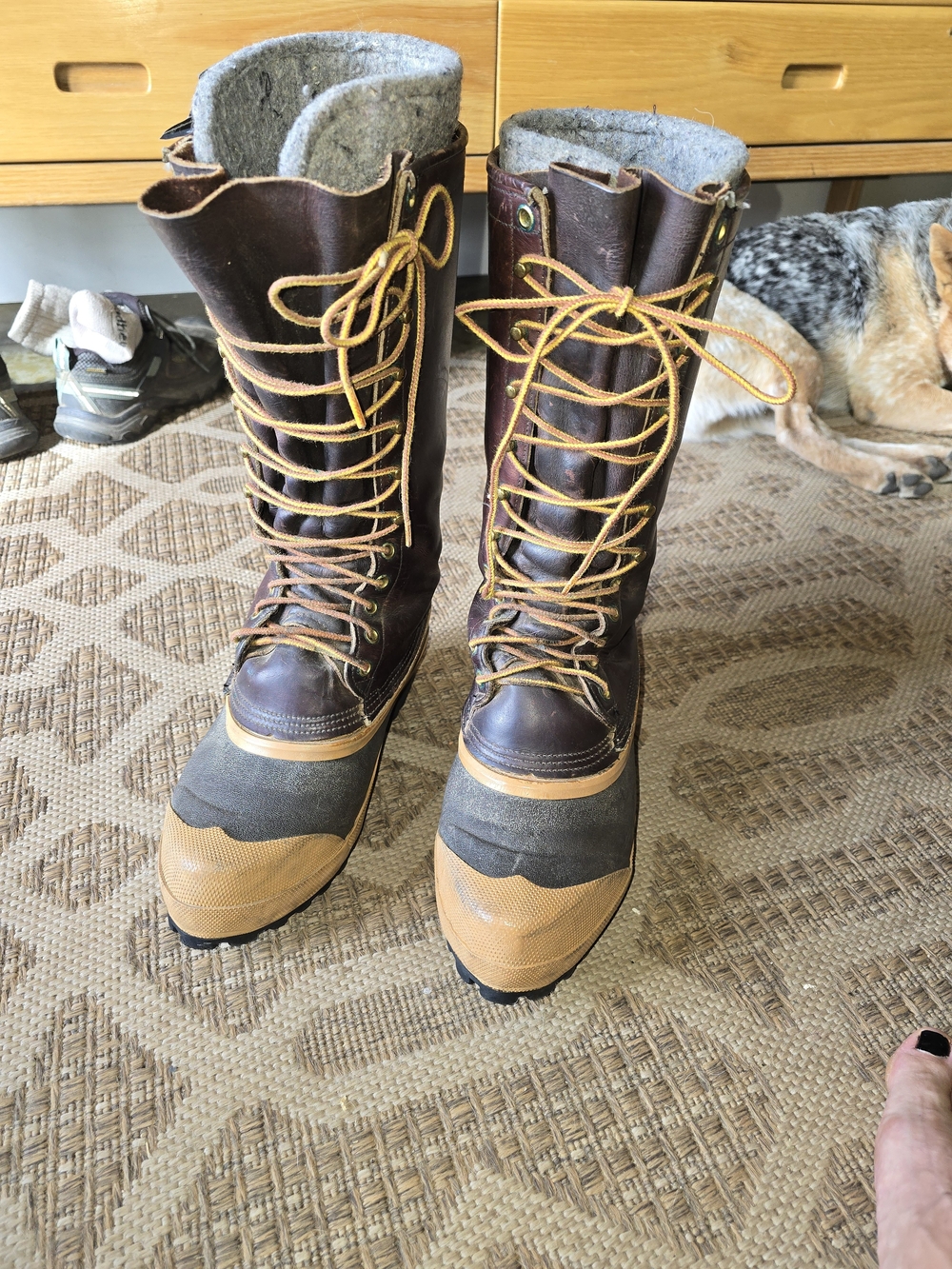 Whites Of Spokane Women's Tall Lace-Up Waterproof Winter Pac Boots - Brown/Tan
